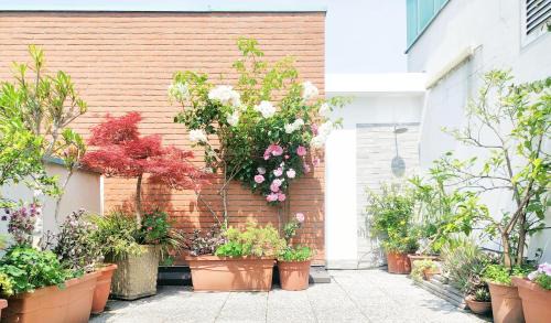 Vimodrone Wohnung | B&B Vimo - Appartamento con terrazzo privato Milano San Raffaele - Vimodrone