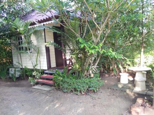 Tha Khoei Haus | Baan I Mhok Suanphueng