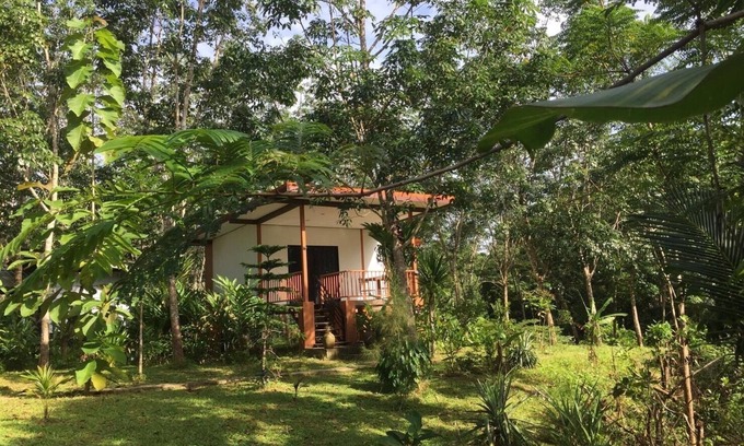Ban Wang Hom Sonstige | Baansuan Suksangob Farm Stay