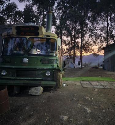 Southern Bootsverleih | Banksia Bus