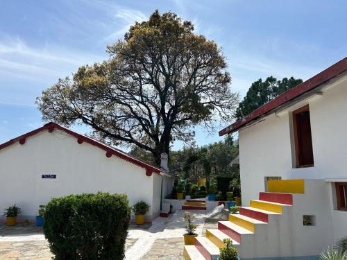 Smanora Range Haus | Bayleaf Cafe and Shivalik Homestay