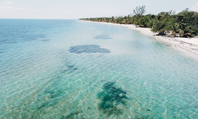 Cocoplum Haus | Beach Front Studio - Turtle Tides