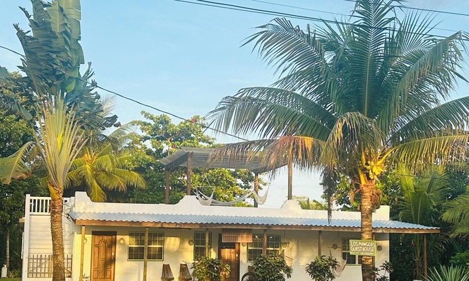 Hopkins Haus | Peaceful Rooftop Pergola One Block from the Beach