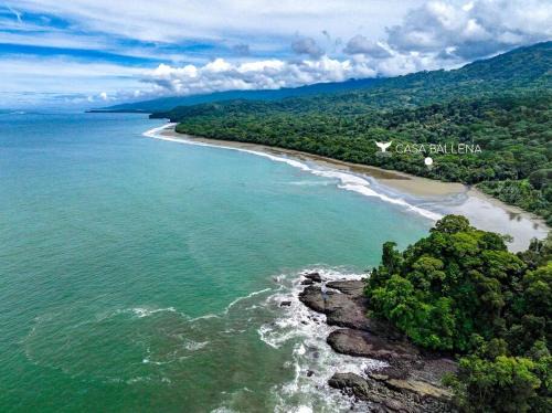 Dominical Wohnung | Beachfront Jungle Luxury! 3BD Penthouse Uvita