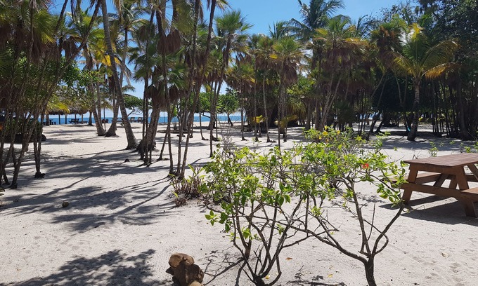 Placencia Wohnung | Beachfront studio