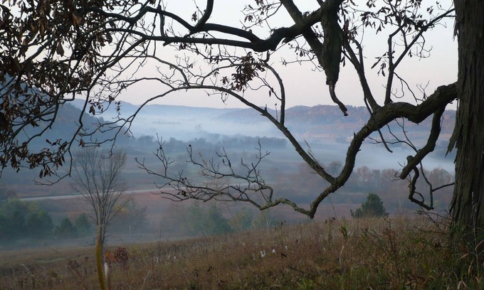 Sextonville Kabine | Bear Valley Outdoor Inn ist eine "Oase für Wildtiere."