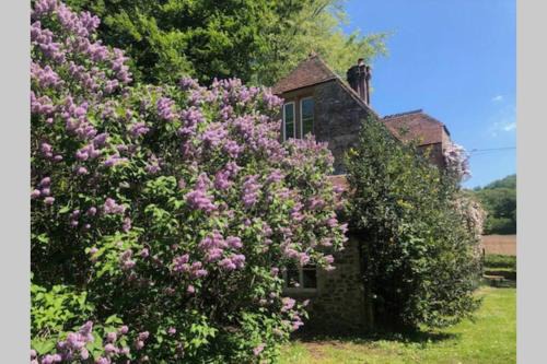 Eleighwater Wohnung | Beautiful converted Stable in peaceful Somerset, close to the Jurassic Coast