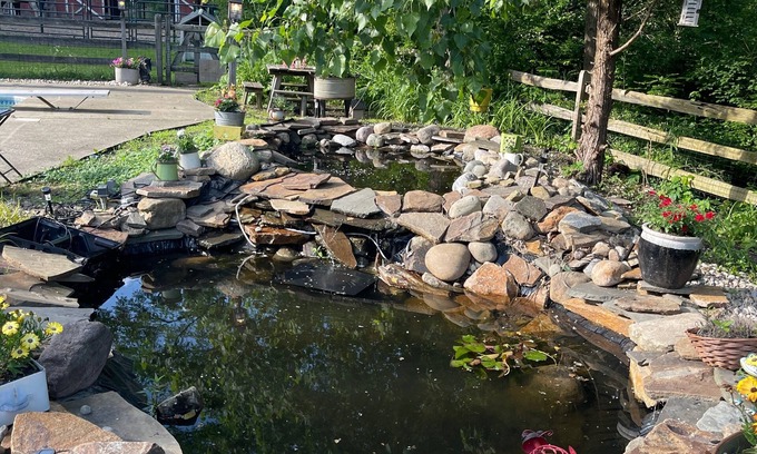 Novelty Sonstige | Beautiful Country Setting on a small horse farm