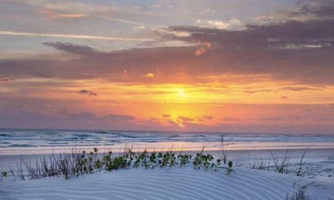 New Smyrna Beach Eigentumswohnung | Schöne renovierte Meerblick 1-Bett-Wohnung auf No Drive New Smyrna Strand WIFI