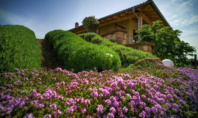 Edenkoben Wohnung | Beautiful vacation apartment on the edge of the Palatinate Mountains