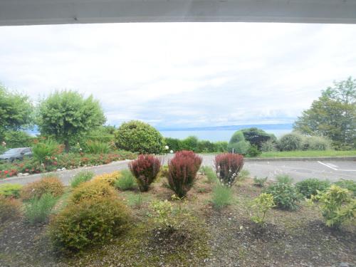 Evian-les-Bains Wohnung | Bel appartement proche thermes avec balcon et animaux admis - FR-1-498-106