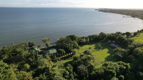Forest Home Haus | Belize Bay Estate