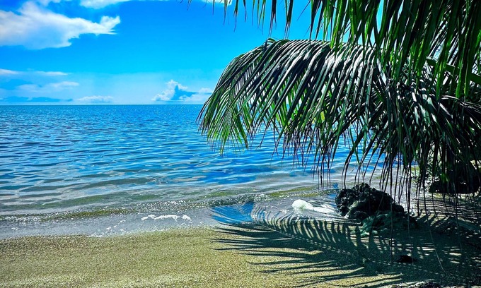Forest Home Haus | Belize Bay Estate - private estate on the Caribbean shore.