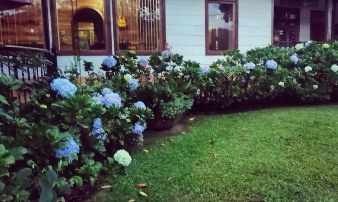 Pacuare Reserve Bed & Breakfast | Bestes Taucherlebnis auf einem Bauernhof auf der Finca Queveri