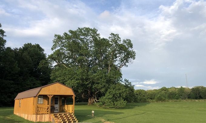 Marion Kabine | Big Tree Little Cabin