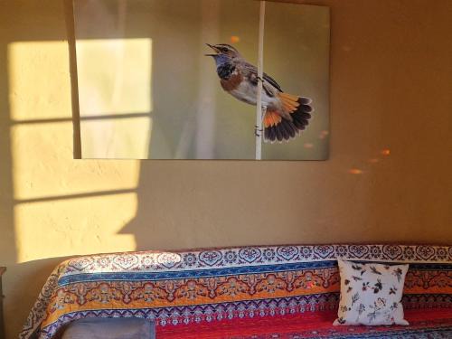 Gross Nemerow Wohnung | BlaukehlchenBleibe