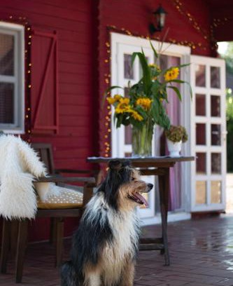 Xanten Haus | Blockhütte M o e r e n h o f Xanten