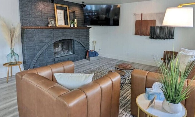 Roy Haus | Bohemian Dream