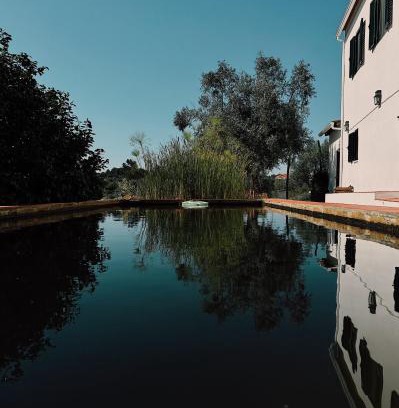 Tomar Wohnung | Breakfast Under A Tree - Apartamento and Farmhouse