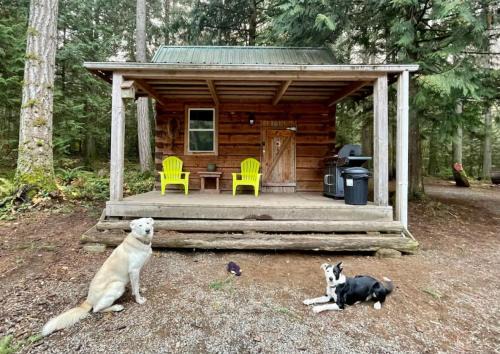 Regional District of Nanaimo Haus | Broad Axed Rustic Log Cabin with Cozy Woodstove