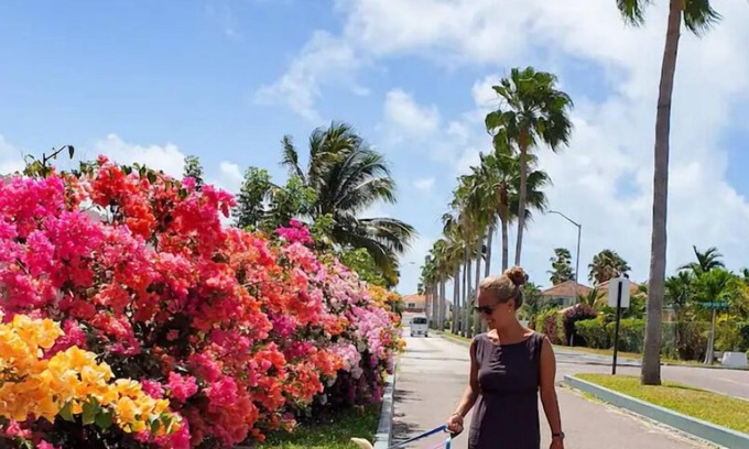 Nassau Haus | Budget friendly accommodation/Nassau 4 Solo Travelers only. Please read all TKS.