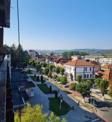 Curtea De Arges Wohnung | Bulevard View Studio