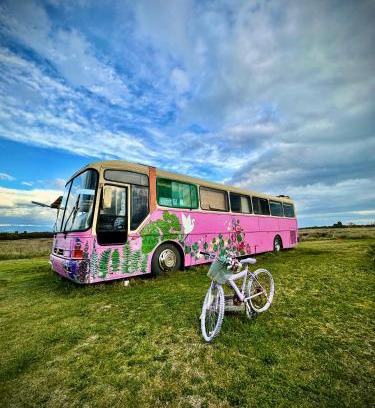 Chamiza Wohnung | Bus Casa en observatorio de aves