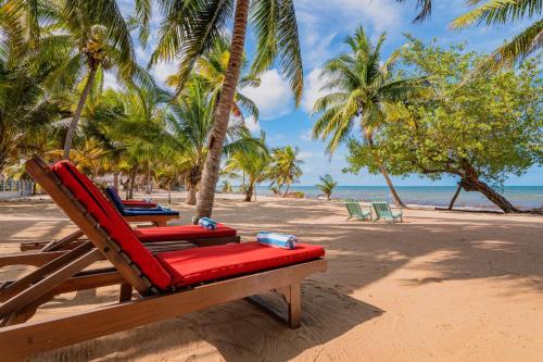Hopkins Haus | Buttonwood Belize
