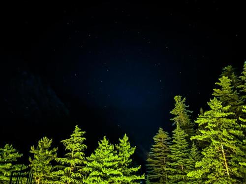 Mohal Haus | Byway, Kasol