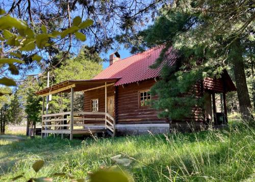 Pueblo Nuevo Skihütte | Cómoda Cabaña de Descanso Parque La Pirámide