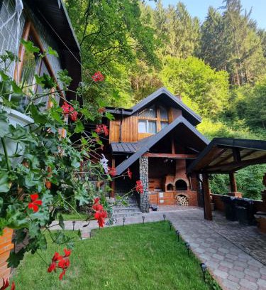 Rucar Haus | Căbănuța Cocoțată