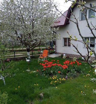 Dorna Candrenilor Haus | Căsuța Bunicilor