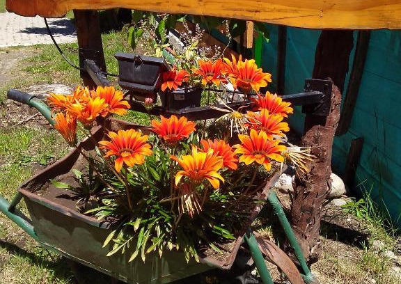 Lago Puelo Kabine | Cabaña Accesible Ipua