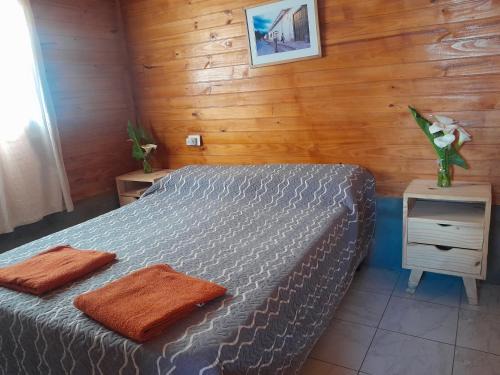 Cachi Skihütte | Cabaña Cachi