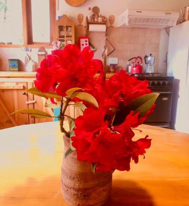 Llao Llao Kabine | Cabaña de Montaña