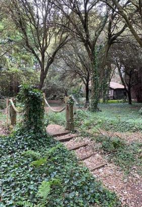 Miengo Wohnung | Cabaña de ensueño en el bosque y junto al mar