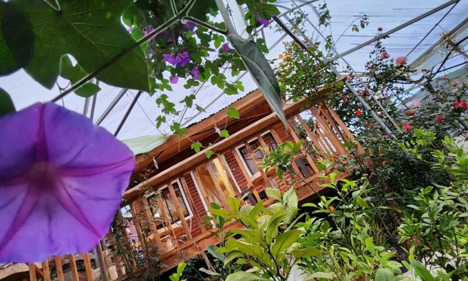 Canton Dota Haus | Cabaña el Faisán, Jardín de Dota