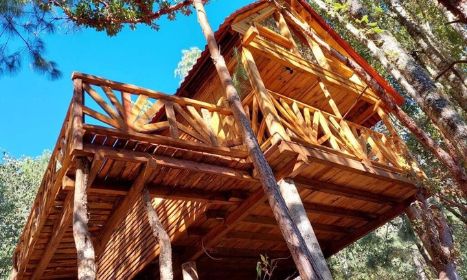 San Jose del Pacifico Skihütte | Cabaña en el Bosque de San José del Pacífico 4