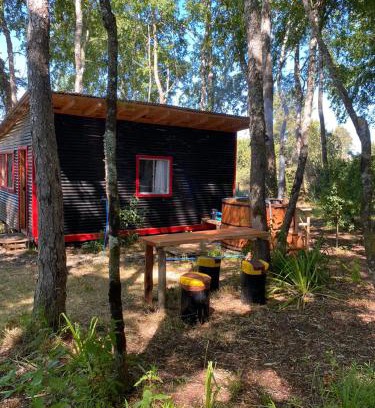 Carahue Haus | Cabaña en el bosque