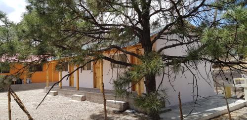 Creel Skihütte | Cabaña La Camelia