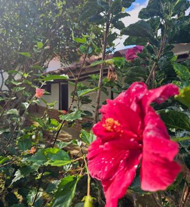 Barichara Kabine | Cabaña Las Chicharras