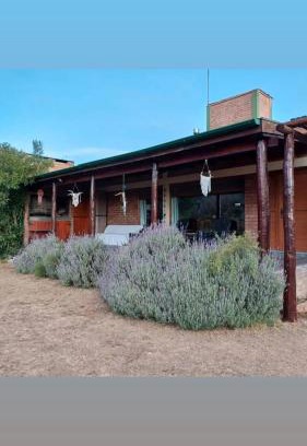 Chacabuco Department Skihütte | Cabaña Los Espinillos