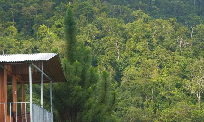 Baru Hütte | Cabaña para dos con una increíble vista al bosque de Platanillo