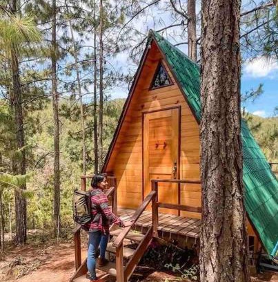 San Jose del Pacifico Skihütte | Cabaña privada en el bosque, cerca al rio Starlinkk
