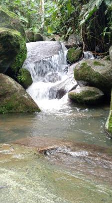 Cocorna Kabine | Cabaña Raíces del Bosque