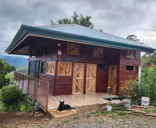 Paraiso Haus | Cabaña Vista de Oro 1