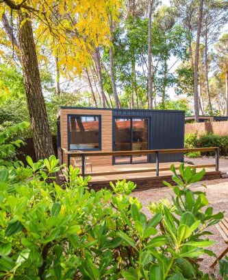 Sacedon Sonstige | Cabañas del bosque Sacedón