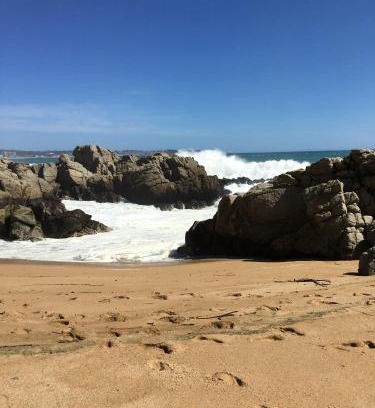 Mirasol Haus | Cabañas en Algarrobo Norte