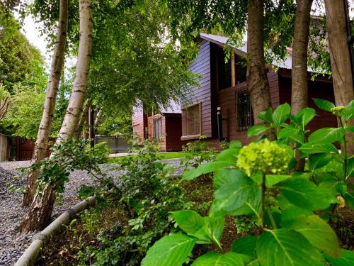 Lican Ray Haus | Cabañas Los Laureles - Lican Ray