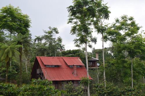 Cuetzalan del Progreso Kabine | Cabañas los Cedros